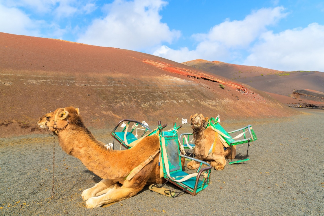 Die Besten Sachen, Die Es In Lanzarote Zu Sehen Gibt